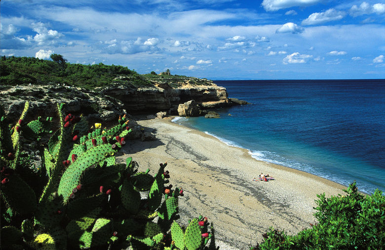 Costa Daurada Playa